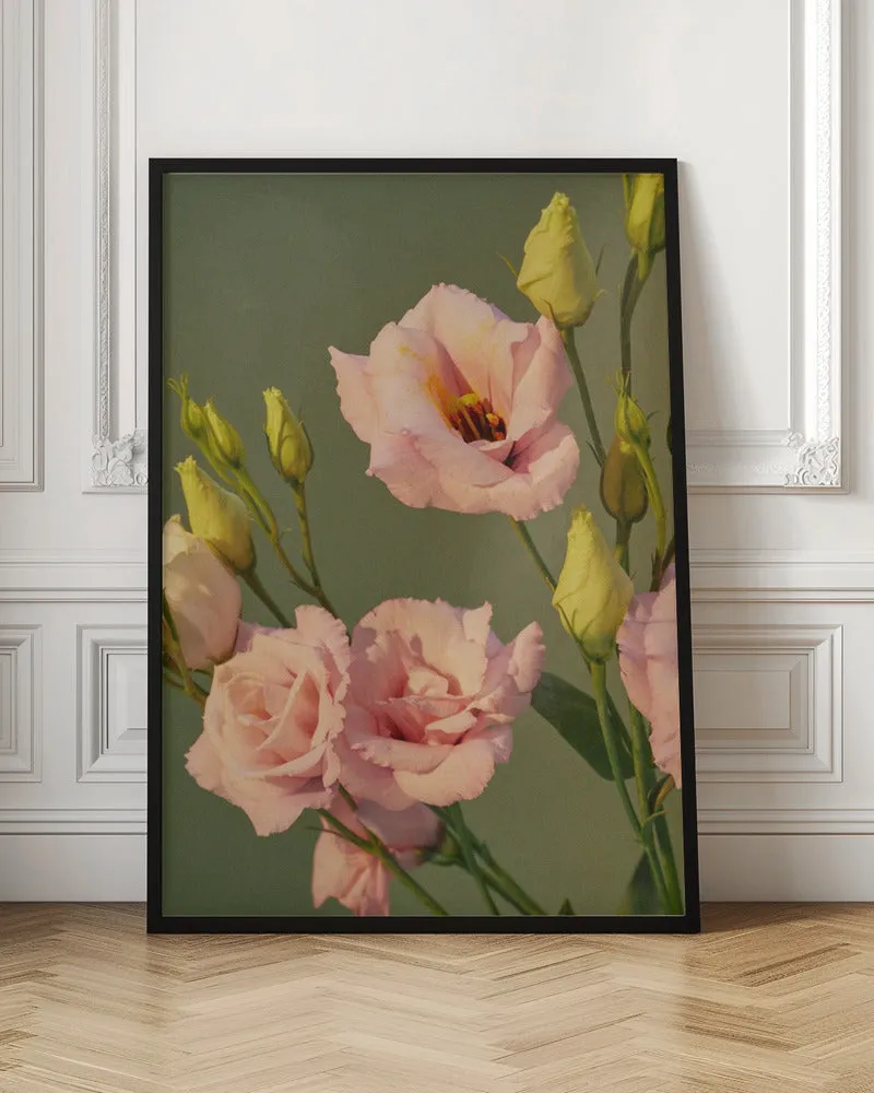 57 - Stretched Canvas, Poster or Fine Art Print