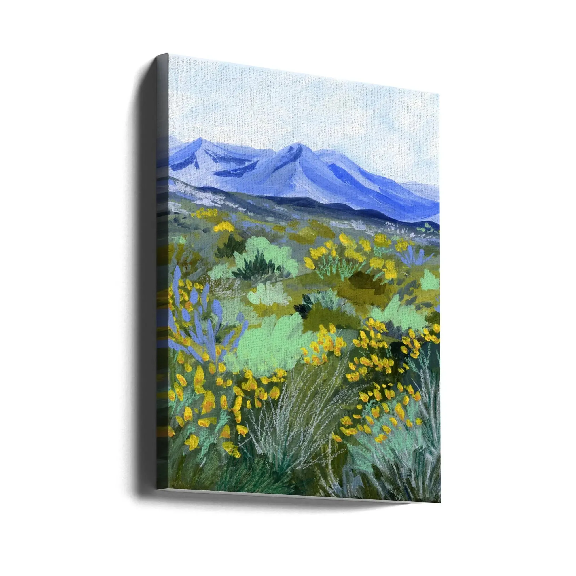 Blue Valley by Sarah Gesek- Stretched Canvas, Poster or Fine Art Print