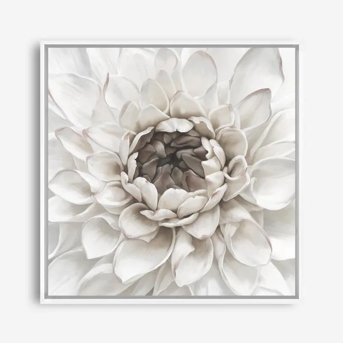 Divine Dahlia III (Square) Canvas Print