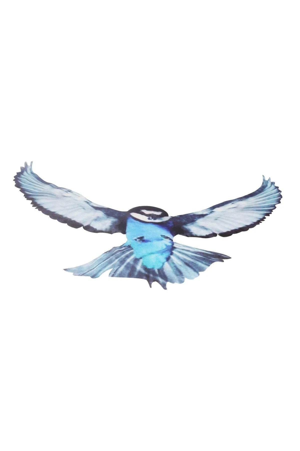 Ferocious Blue Bird Digital Print Patch