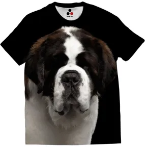 St. Bernard